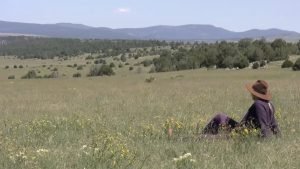 Jacqueline looking over the prarie